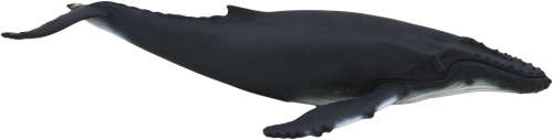 Mojo Sealife toy Humpback Whale - 387119