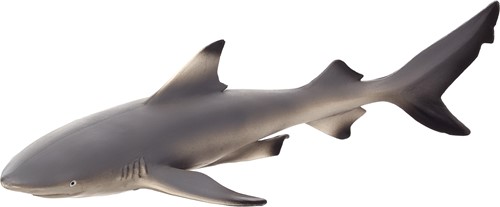 Mojo Sealife toy Blacktip Reef Shark - 387357