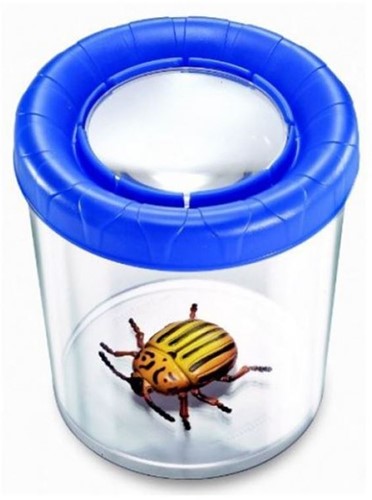 Keycraft Mega Insect Jar