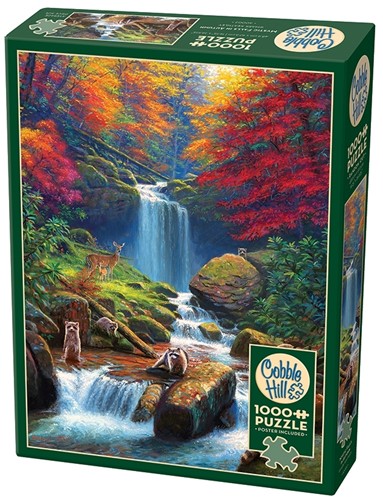 Cobble Hill puzzle 1000 pieces - Mystic falls in autumn