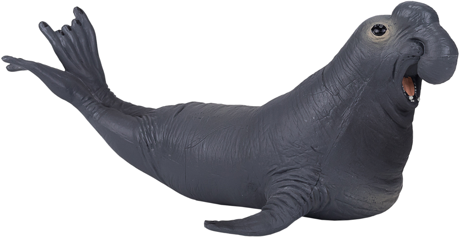 Mojo Sealife toy Elephant Seal 387208